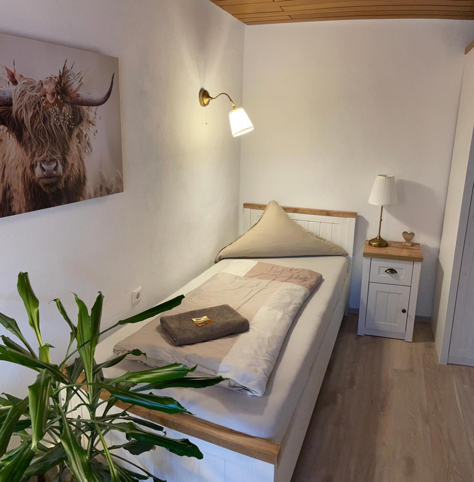 Schrammi'S Ferienwohnung Schwanau Extérieur photo