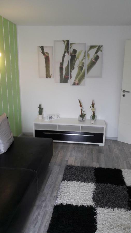 Schrammi'S Ferienwohnung Schwanau Extérieur photo